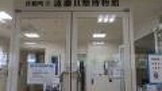 ケープ真鶴併設の博物館　いろんな貝が見られて楽しい