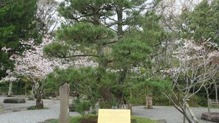 やはり威厳のある大仏様のたたずまい