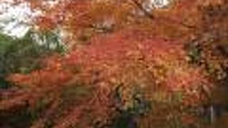 山奥の紅葉の名所