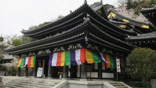 「花の寺」というだけあって年中美しい花が楽しめる