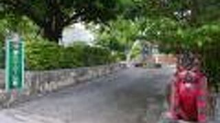 県庁の敷地にある公園