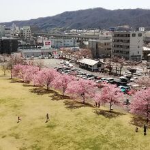 西櫓から上田市内を眺める