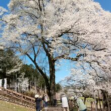 淡墨大師 弘法堂