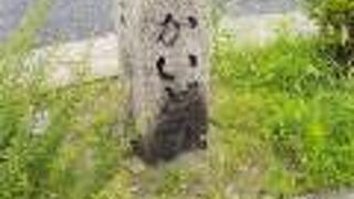 府道30号線沿いにありました。