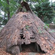 代々木八幡宮にある重要な遺跡