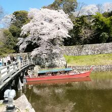 大手門の桜と屋形船