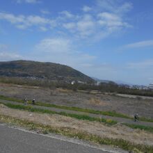 淀川河川公園背割り堤地区