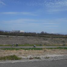 淀川河川公園背割り堤地区