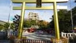 金色に輝く鳥居 （金神社）