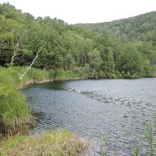 案内看板の左側から撮影