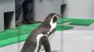 お城より楽しかったわぁ