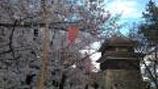 桜は散り始めでした。