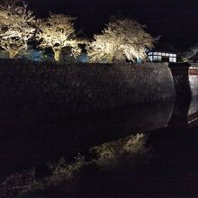 お堀の水面に映る桜も綺麗です。