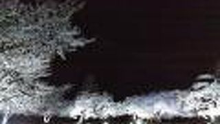 桜のライトアップが最高です。