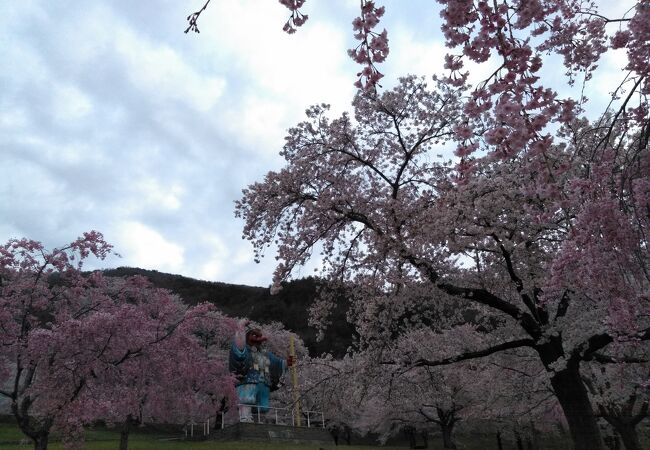 満開の桜が綺麗でした。