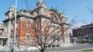 桜がキレイでした