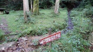 トレッキングコースです