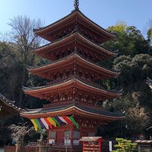 国宝・五重塔！