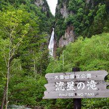 自然の織りなす美しい流星の滝