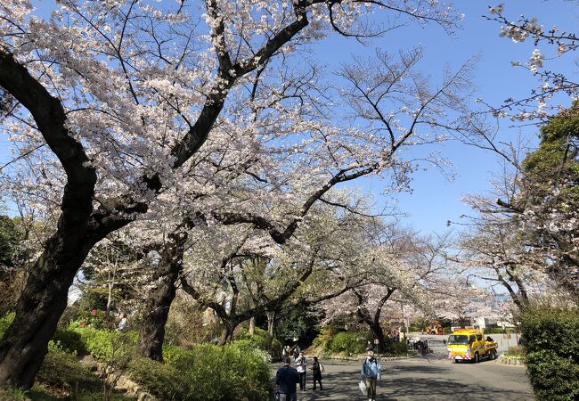 掃部山公園 クチコミ アクセス 営業時間 横浜 フォートラベル 掃部山公園 クチコミ アクセス 営業時間 横浜 フォートラベル