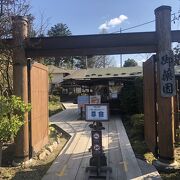 名の通り薬草園に加え、池に2つの滝と石組を配した簡素ながら趣ある庭園