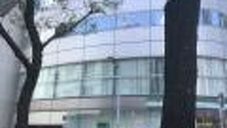 銀座の歴史を見つめる、柳。