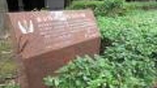 東京外国語大学