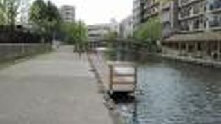 今はまだ静かなようです