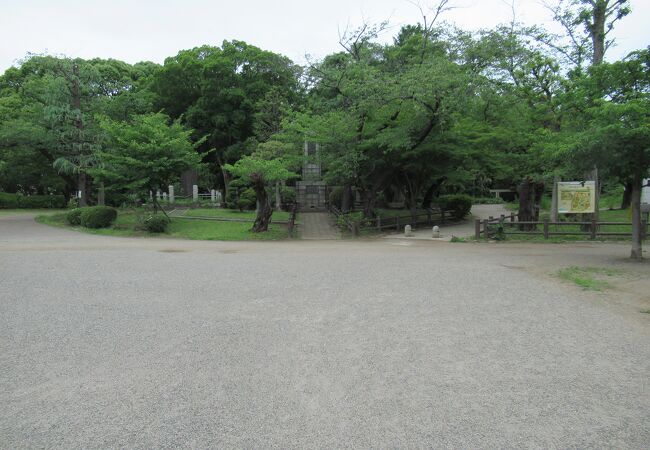 与野公園 クチコミ アクセス 営業時間 大宮 フォートラベル