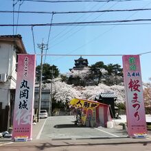 駐車場からお城の全景