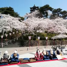 お城と桜といっしょに人形たちが出迎えてくれた