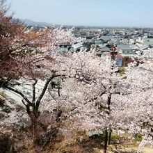 天守閣からの景色