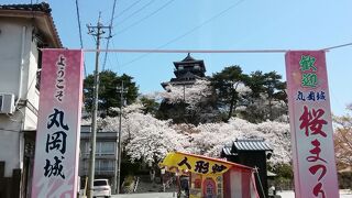 桜満開の中にたたずむ現存天守閣１２城のひとつ丸岡城