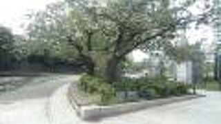 令和２年夏に工事を終え、リニューアル