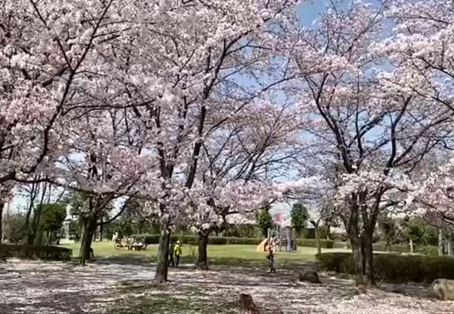 杉戸高野台駅