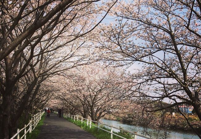 花見川サイクリングコース クチコミ アクセス 営業時間 千葉市 フォートラベル