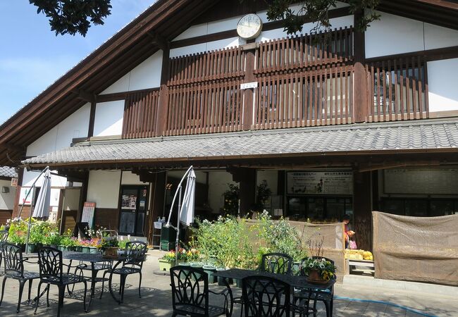 綾町観光で必ず寄りたい場所