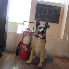 本物ワンコじゃないよ