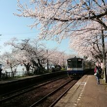 列車が入ってくる