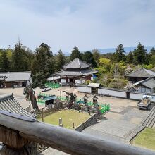 2月堂からの風景