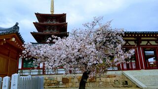 桜の季節に訪れました