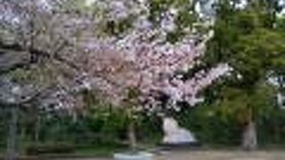 桜の季節に訪れました