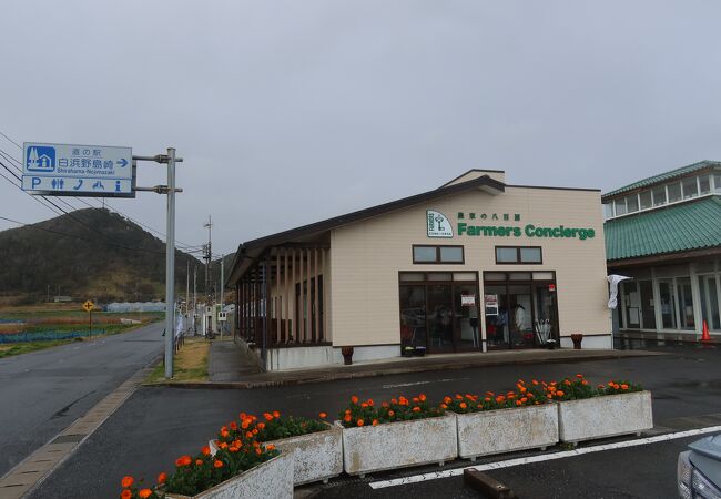 白浜 千葉 の道の駅 クチコミ人気ランキング フォートラベル 千葉県 白浜 千葉 の道の駅 クチコミ人気ランキング フォートラベル 千葉県