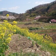 茶屋沼公園周辺の風景