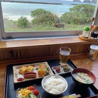 朝食は和食のみ　目の前をケラマ鹿が通る