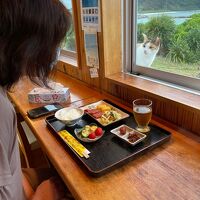 お食事中の話し相手は猫ちゃん（一人旅も寂しくないかも）