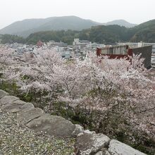 本丸から城下を見下ろした感じ