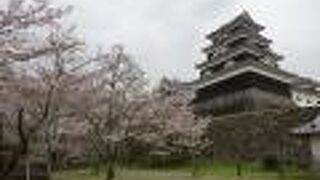 城の遺構を生かした公園。桜も綺麗。