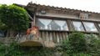 やちむん通り散策はいつも南窯から