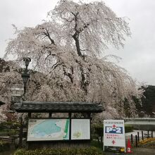 臥竜公園入口